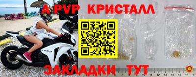 гашик Будённовск